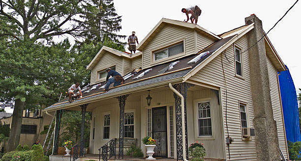 Best Tile Roofing Contractor  in Hrison, AR